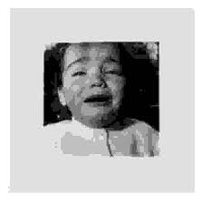 Attēlu rezultāti vaicājumam “Dianema depressum young”