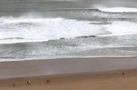 Image result for Ilfracombe Table Tennis Club