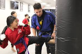 Image result for Action Karate