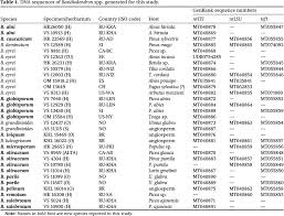 Attēlu rezultāti vaicājumam “Basidiodendron”