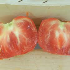 Afbeeldingsresultaat voor crnkovic yugoslavian tomato