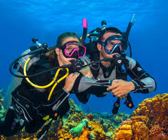 Image result for World Divers