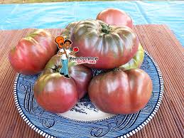 Afbeeldingsresultaat voor CDB tomato