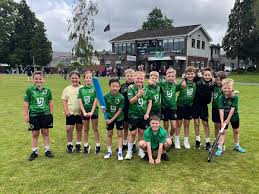 Image result for Ammanford Cricket Club