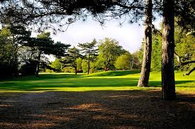 Image result for Wimbledon Common Golf Club