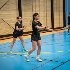 Image result for Cobra Badminton Club