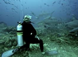 Image result for Myzopsetta ferruginea