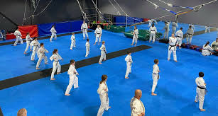 Image result for Precision Martial Arts