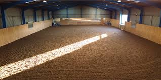 Image result for Shey Copse Riding Centre