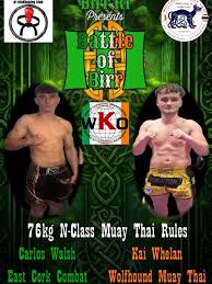 Image result for Cork Thai Boxing Club