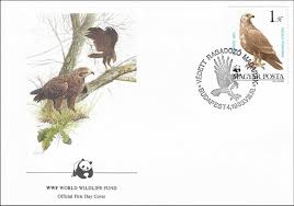 Attēlu rezultāti vaicājumam “Aquila pomarina”