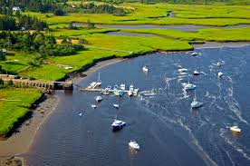 Image result for Great Yarmouth Yacht Club