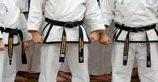 Image result for Surrey Taekwondo
