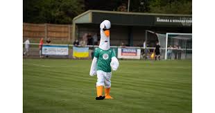 Image result for Leatherhead Swans Club