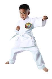 Image result for Synergy Tae Kwon Do