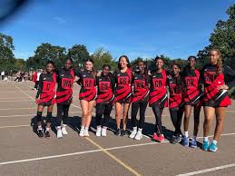 Image result for Lastonet Netball Club