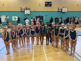 Image result for West Lothian Artistic Gymnastic Club