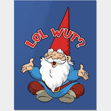 Image result for lol wut