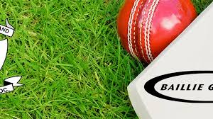 Image result for Preston Village Cricket Club
