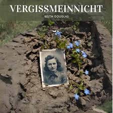 Image result for Vergissmeinnicht