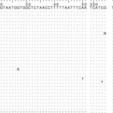 Attēlu rezultāti vaicājumam “Milesina murariae”