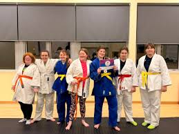 Image result for Halton Inclusive Judo Club