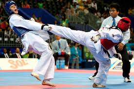 Image result for Hed Tkd (Dorking Tae Kwon-Do)