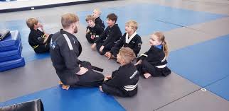 Image result for Skillz Martial Arts