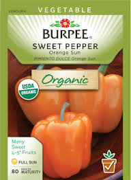 Afbeeldingsresultaat voor orange sun sweet pepper