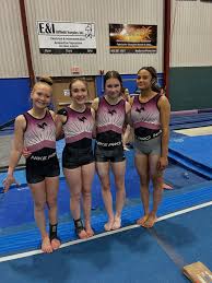 Image result for Pegasus Trampoline Club