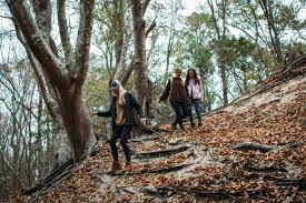 Image result for Norfolk Hillwalking Club