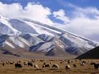 Muztagh Tower Peak Xinjiang Province China 1600*120037 - Wallcoo.