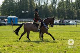 Image result for Ayr Riding Club