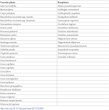 Attēlu rezultāti vaicājumam “Leiocolea rutheana”