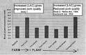 The Relationship Between Exsanguination Lactate and Pork Quality