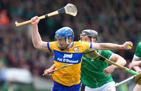 Image result for hurling