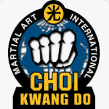 Image result for southern academy choi kwang do