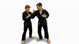 Image result for Bushin Kenpo Kai Schools
