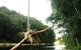 Image result for Guildford Angling Society