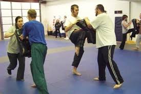 Image result for New Path Martial Arts Academy