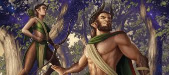 Image result for druid