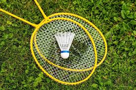 Image result for Greenmeadow Badminton Club
