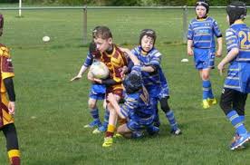 Image result for Vipers Rugby Football Club