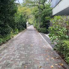 「望月麻里（マリ）」の画像検索結果