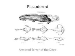 Attēlu rezultāti vaicājumam “Placodermi”