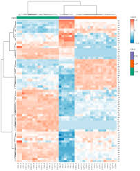 Attēlu rezultāti vaicājumam “Calypogeia sphagnicola”