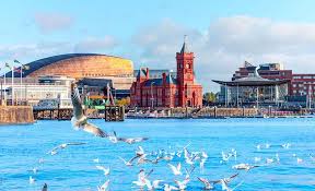 Image result for Cardiff Capitals
