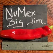 Afbeeldingsresultaat voor numex chimayo hot pepper