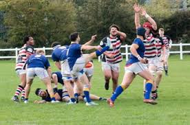 Image result for Alnwick Rugby Football Club