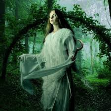 Image result for druid